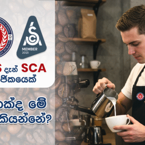 CBBS, Specialty Coffee Association