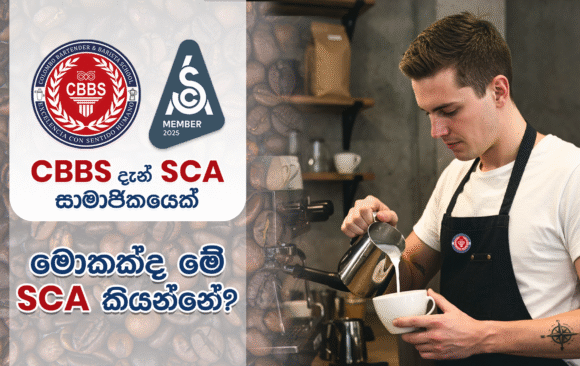 CBBS, Specialty Coffee Association