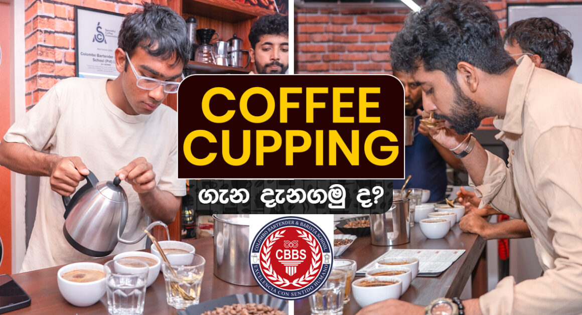 Coffee Cupping ගැන දැනගමුද?