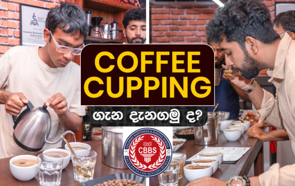 Coffee_Roasting_Thumbs_1200 x 650 _Export 04.jpg (2) Coffee Cupping ගැන දැනගමුද?