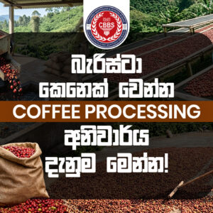 Coffee Roasting Facebook Thumb 1920x 700 #1.jpg බැරිස්ටාර් කෙනෙක් වෙන්න COFFEE PROCESSING අනිවාර්ය දැනුම මෙන්න